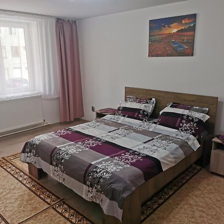Apartament Bucovina Leilighet Câmpulung Moldovenesc Eksteriør bilde