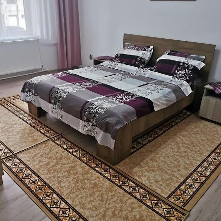 Apartament Bucovina Leilighet Câmpulung Moldovenesc Eksteriør bilde
