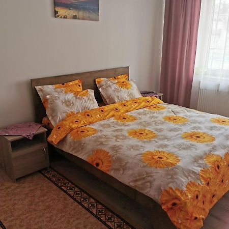 Apartament Bucovina Leilighet Câmpulung Moldovenesc Eksteriør bilde