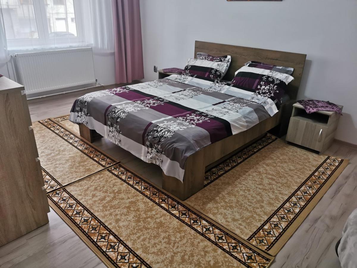 Apartament Bucovina Leilighet Câmpulung Moldovenesc Eksteriør bilde