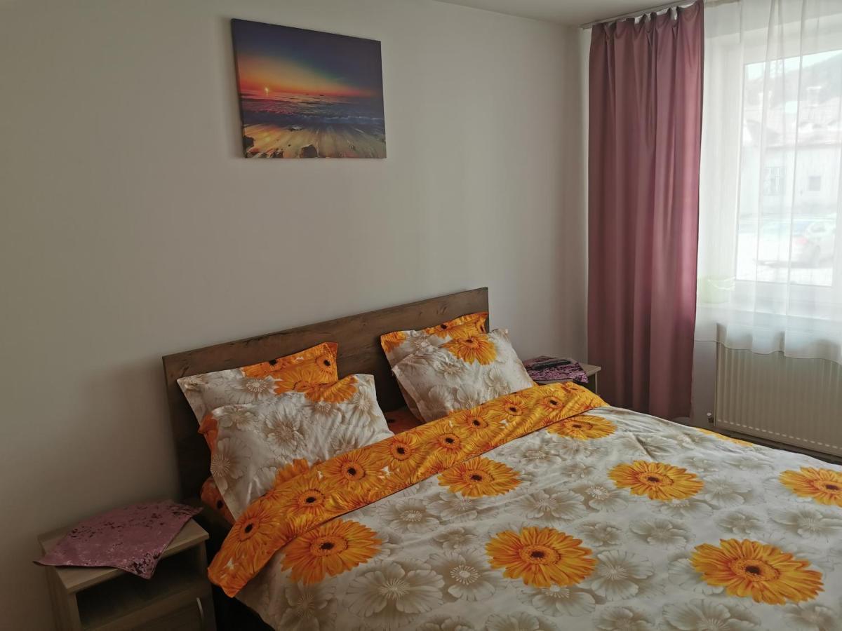Apartament Bucovina Leilighet Câmpulung Moldovenesc Eksteriør bilde