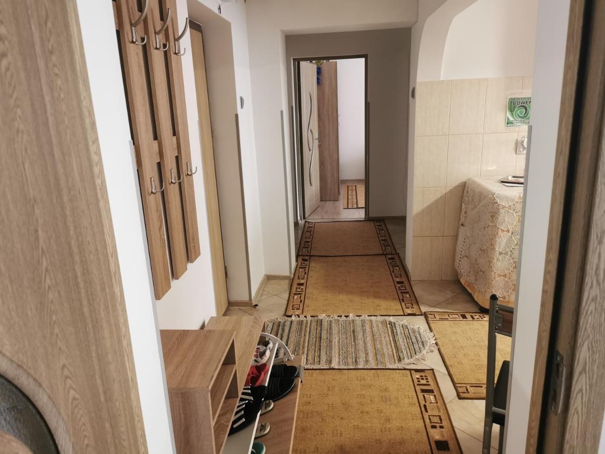 Apartament Bucovina Leilighet Câmpulung Moldovenesc Eksteriør bilde
