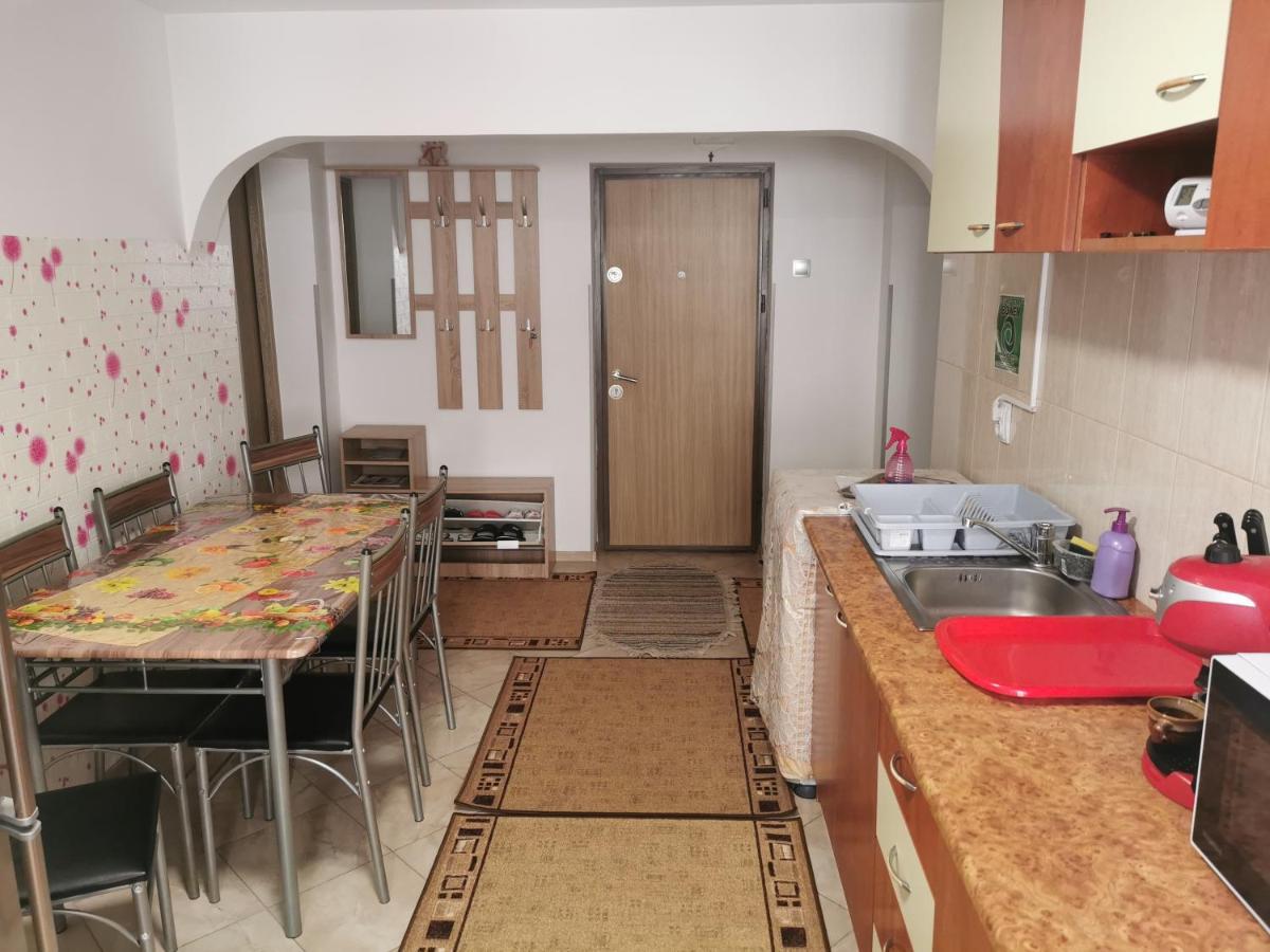 Apartament Bucovina Leilighet Câmpulung Moldovenesc Eksteriør bilde